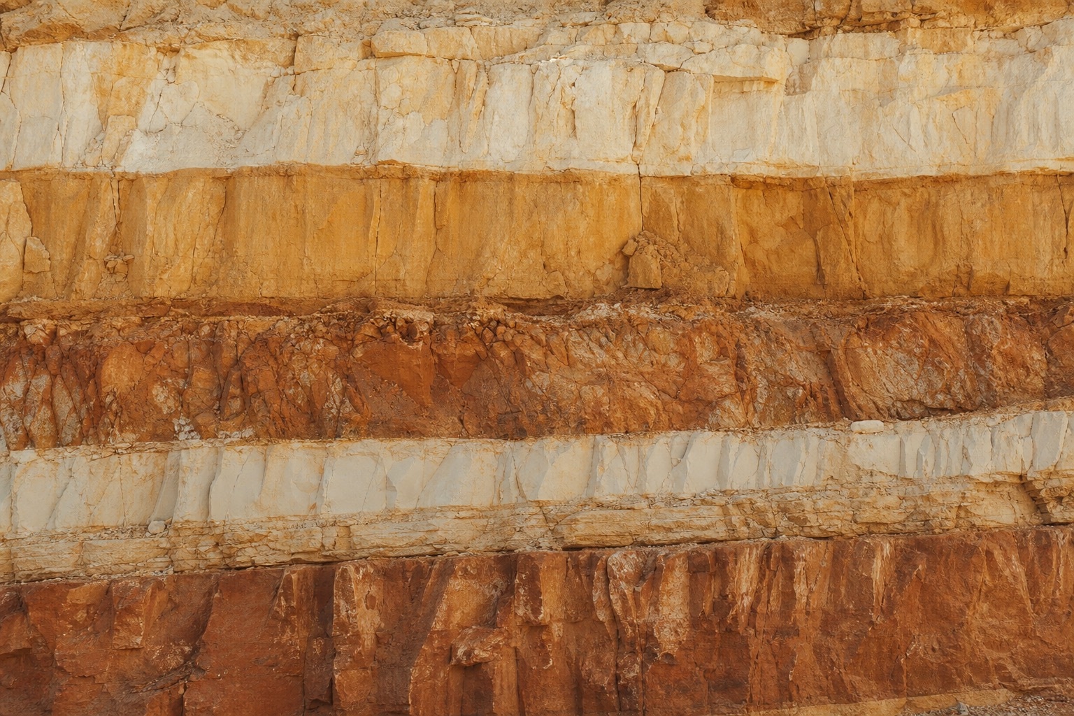 Chairman's Message